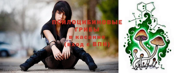 ешки Горнозаводск